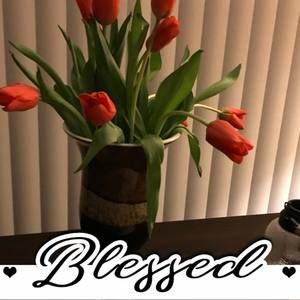 Meet your Posher, Yolanda